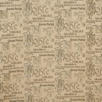 Ткань Galleria Arben Exclusive MANUSCRIPT DES 14075 COL 454 на VALLES.TOP