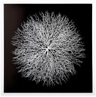 Панно Mart Gallery Легкий шелест 2 на VALLES.TOP