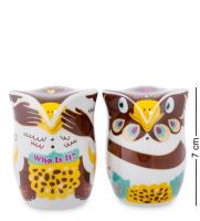 Набор Topchoice Совята TC-56 соль-перец на VALLES.TOP