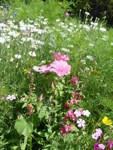 Клумба садовая Голубой акцент угловая (готовое решение) на VALLES.TOP