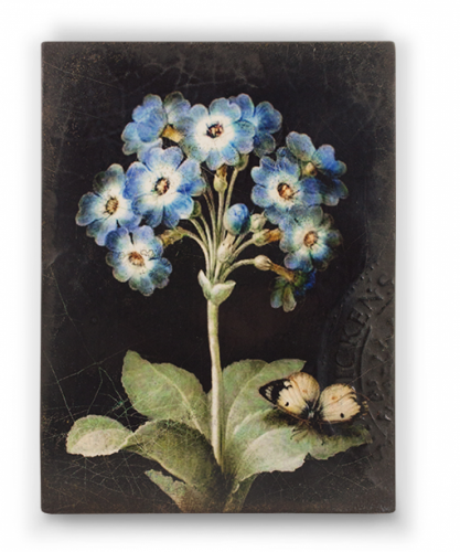 Панно Sid Dickens Primrose 425 дизайнерское, 15х20х3 см на VALLES.TOP