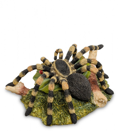 Статуэтка Veronese Паук Тарантул WS-716 на VALLES.TOP