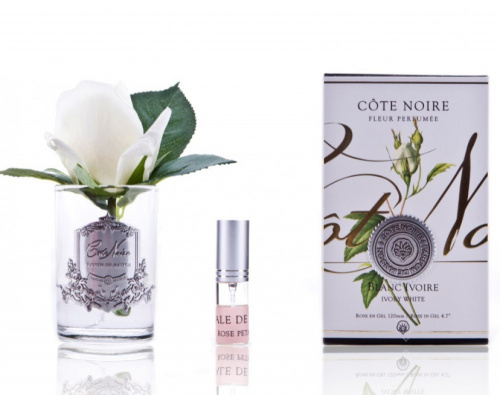 Букет Cote Noire Бутон розы Ivory ароматический, прозрачное стекло на VALLES.TOP