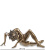 Статуэтка Veronese Девушка WS-132 на VALLES.TOP