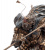 Статуэтка Veronese Китайский воин WS-427 на VALLES.TOP
