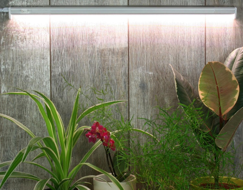 Фитосветильник Luxury Plants светодиодный, 18 Вт на VALLES.TOP