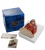 Статуэтка Veronese Орангутаны WS-764 на VALLES.TOP