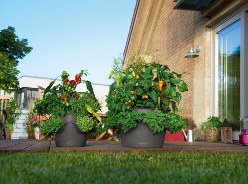 Кашпо Lechuza Cascadino Color на VALLES.TOP