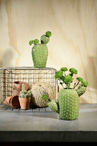 Ваза Burgon & Ball S Кактус Indoor Pots керамическая на VALLES.TOP