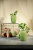 Ваза Burgon & Ball S Кактус Indoor Pots керамическая на VALLES.TOP