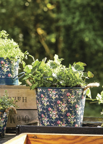 Кашпо металлическое Flower Girl Collection Briers на VALLES.TOP