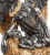 Композиция Veronese Шепот ангела WS-60 на VALLES.TOP