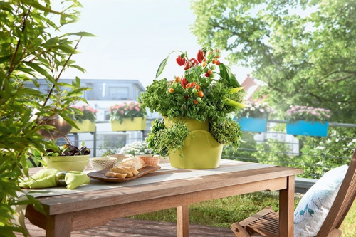 Кашпо Lechuza Cascadino Color на VALLES.TOP