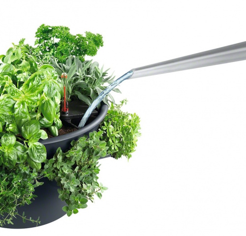 Кашпо Lechuza Cascadino Color на VALLES.TOP