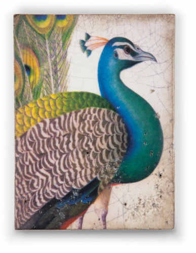 Панно Sid Dickens Fabled Bird Т 287 дизайнерское, 15х20х3 см на VALLES.TOP