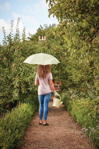 Зонт-трость Briers Honeysuckle на VALLES.TOP