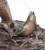 Статуэтка Veronese Рыболов WS-436 на VALLES.TOP