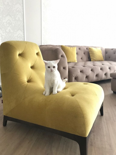 Кресло Selecta Люмьер на VALLES.TOP