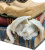 Шкатулка Veronese Дракон на книгах WS-844 на VALLES.TOP