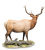 Статуэтка Veronese Лось WS-846 на VALLES.TOP