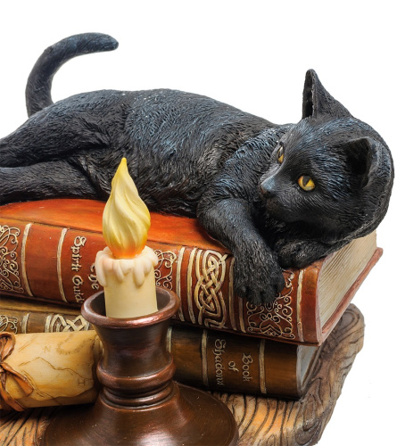 WS-843 Статуэтка "Кот на книгах" (Лиза Паркер) на VALLES.TOP