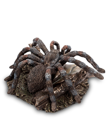 Статуэтка Veronese Паук Тарантул WS-780 на VALLES.TOP