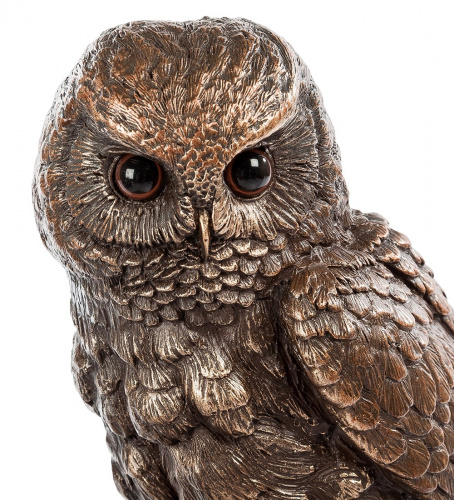 Статуэтка Veronese Сова на книгах WS-86/1 на VALLES.TOP
