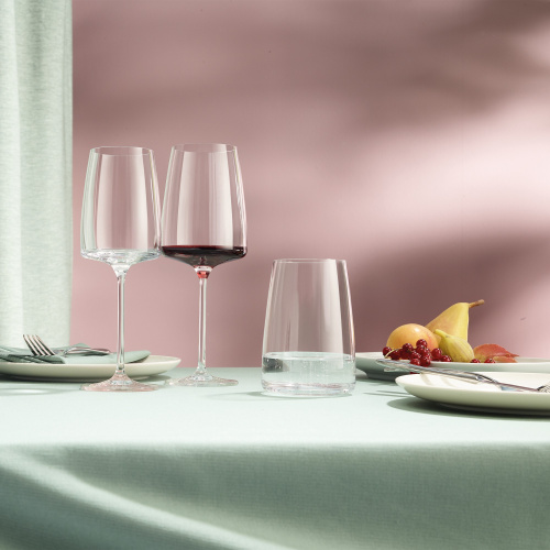 Набор Schott Zwiesel Sensa стаканов для воды, 6 штук, 500 мл на VALLES.TOP