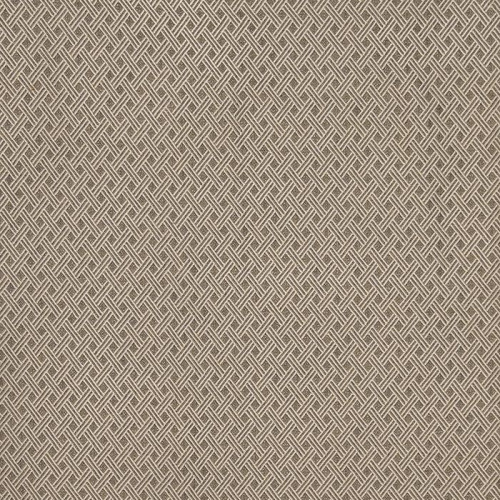 Ткань Galleria Arben Exclusive CHIMERE PIERRE BLANC на VALLES.TOP