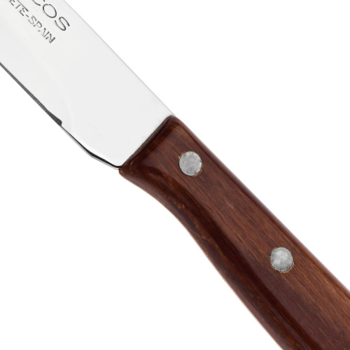 Нож ARCOS Latina кухонный овощной, 10,5 см на VALLES.TOP