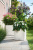 Кашпо Lechuza Cottage 40 см Кашпо Lechuza Cottage 40 см на VALLES.TOP