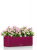 Кашпо Lechuza Balconera Color 80 см Кашпо Lechuza Balconera Color 80 см на VALLES.TOP