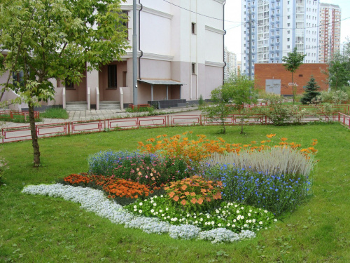 Клумба садовая Коралловые фантазии миксбордер (готовое решение) на VALLES.TOP