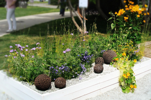 Клумба садовая Апельсиновое танго (готовое решение) на VALLES.TOP