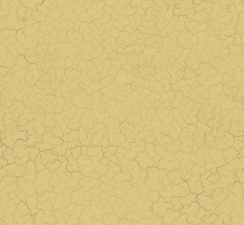 Покрытие Vincent Decor Peinture Craquelure Пескара декоративное на VALLES.TOP