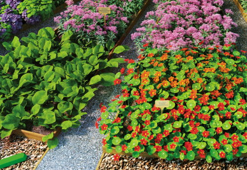 Клумба садовая Французский сад: овощи и пряные травы (готовое решение) на VALLES.TOP