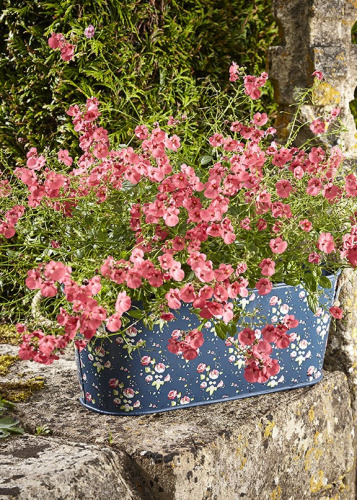 Кашпо овальное металлическое Flower Girl Collection Briers, L на VALLES.TOP