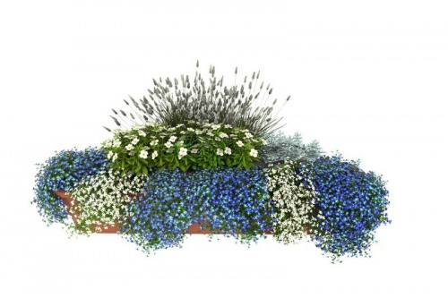 Клумба для балкона Серебряный дождь (готовое решение) на VALLES.TOP