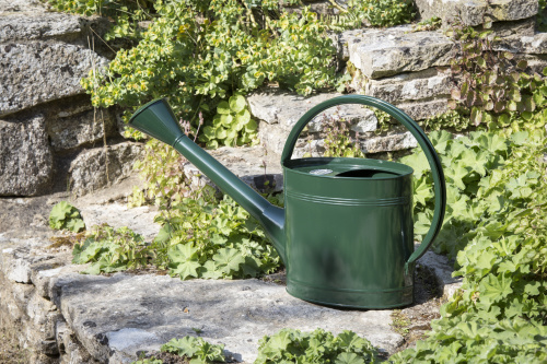 Лейка Burgon & Ball Racing green садовая, для цветов, 5 л на VALLES.TOP