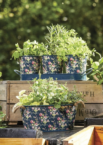 Кашпо овальное металлическое Flower Girl Collection Briers, S на VALLES.TOP