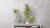 Покрытие Vincent Decor Decorum Dune Латина декоративное Покрытие Vincent Decor Decorum Dune Латина декоративное на VALLES.TOP
