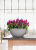 Кашпо Lechuza Cubeto Color 30 см Кашпо Lechuza Cubeto Color 30 см на VALLES.TOP