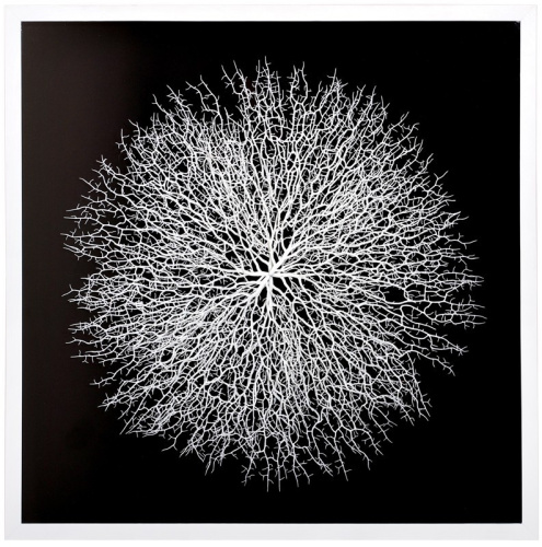 Панно Mart Gallery Легкий шелест 2 на VALLES.TOP