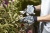 Набор Briers Flower Girl перчаток для работы с растениями, 3 шт. Набор Briers Flower Girl перчаток для работы с растениями, 3 шт. на VALLES.TOP