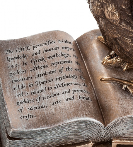 Статуэтка Veronese Сова на книгах WS-86/1 на VALLES.TOP