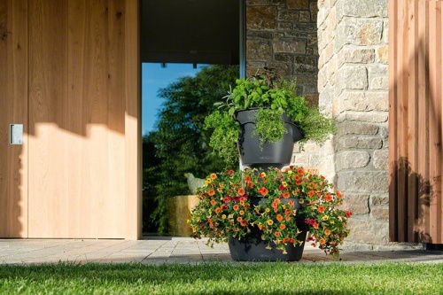 Кашпо Lechuza Cascadino Color на VALLES.TOP