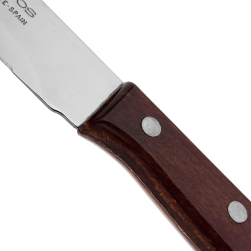Нож ARCOS Latina кухонный, 15,5 см на VALLES.TOP