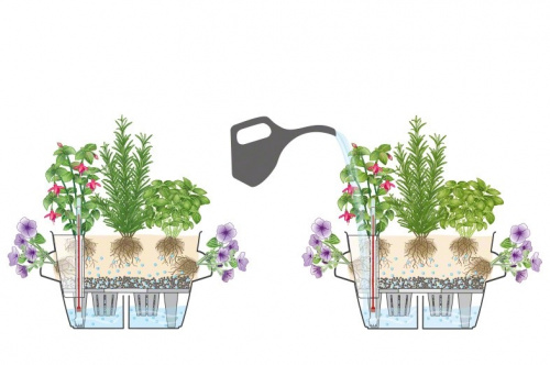 Кашпо Lechuza Cascadino Color на VALLES.TOP