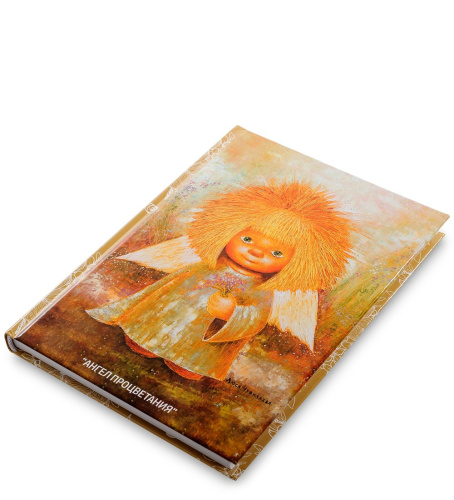 ANG-227 Блокнот "Ангел процветания" 12х17 на VALLES.TOP