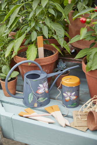 Маркеры-таблички Burgon & Ball Passiflora для растений, с карандашом на VALLES.TOP